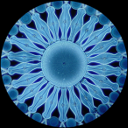 thumb_diatom.png