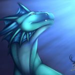 1371845648_fortuna_dragonjml.jpg