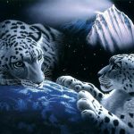 mystic-lion_snow-leopards.jpg