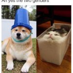 161FA4E8-7631-420C-9F50-694C9FA83146.jpeg