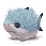 shark.jpeg